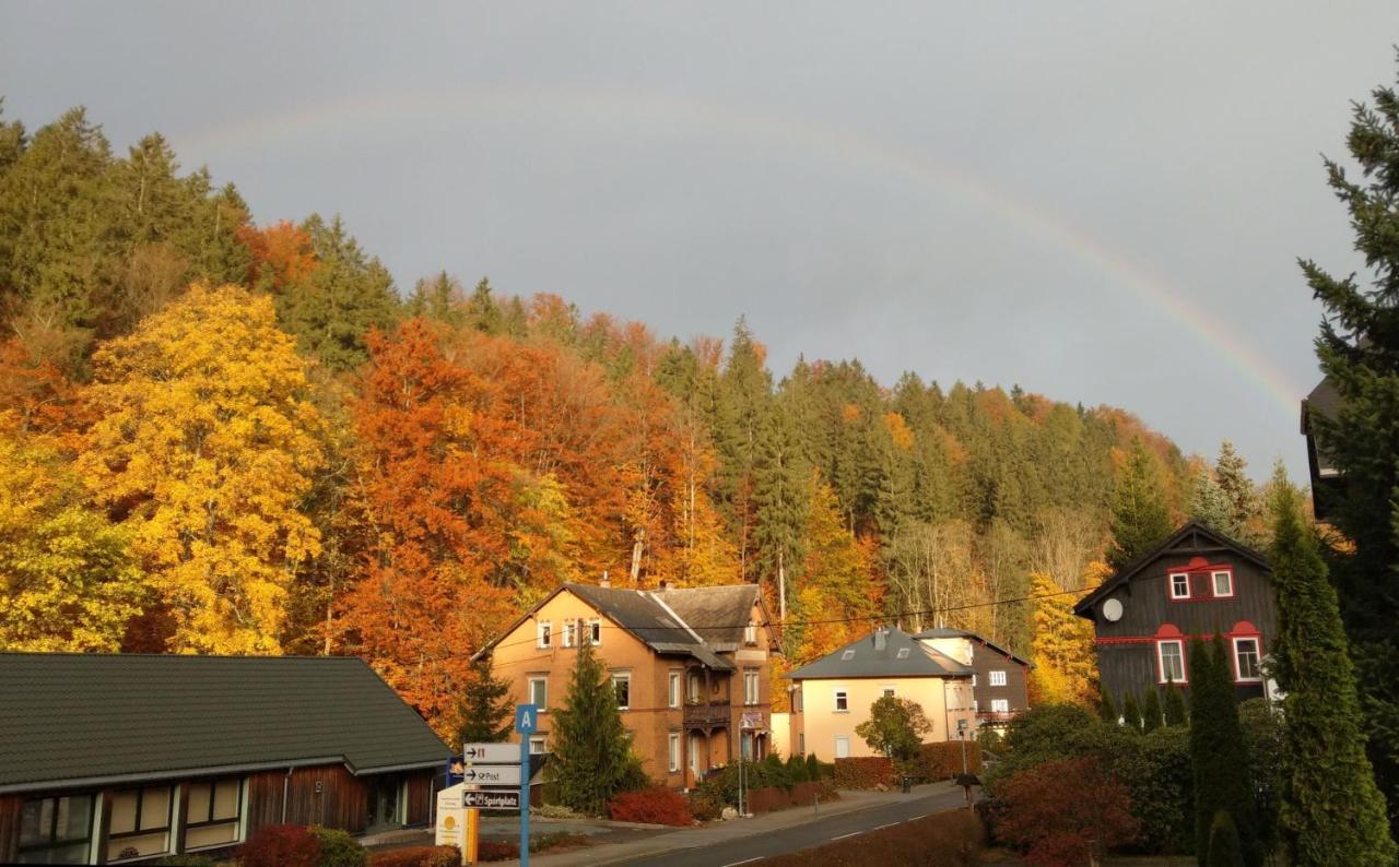 Angelika Apartament Altenberg (Osterzgebirge)