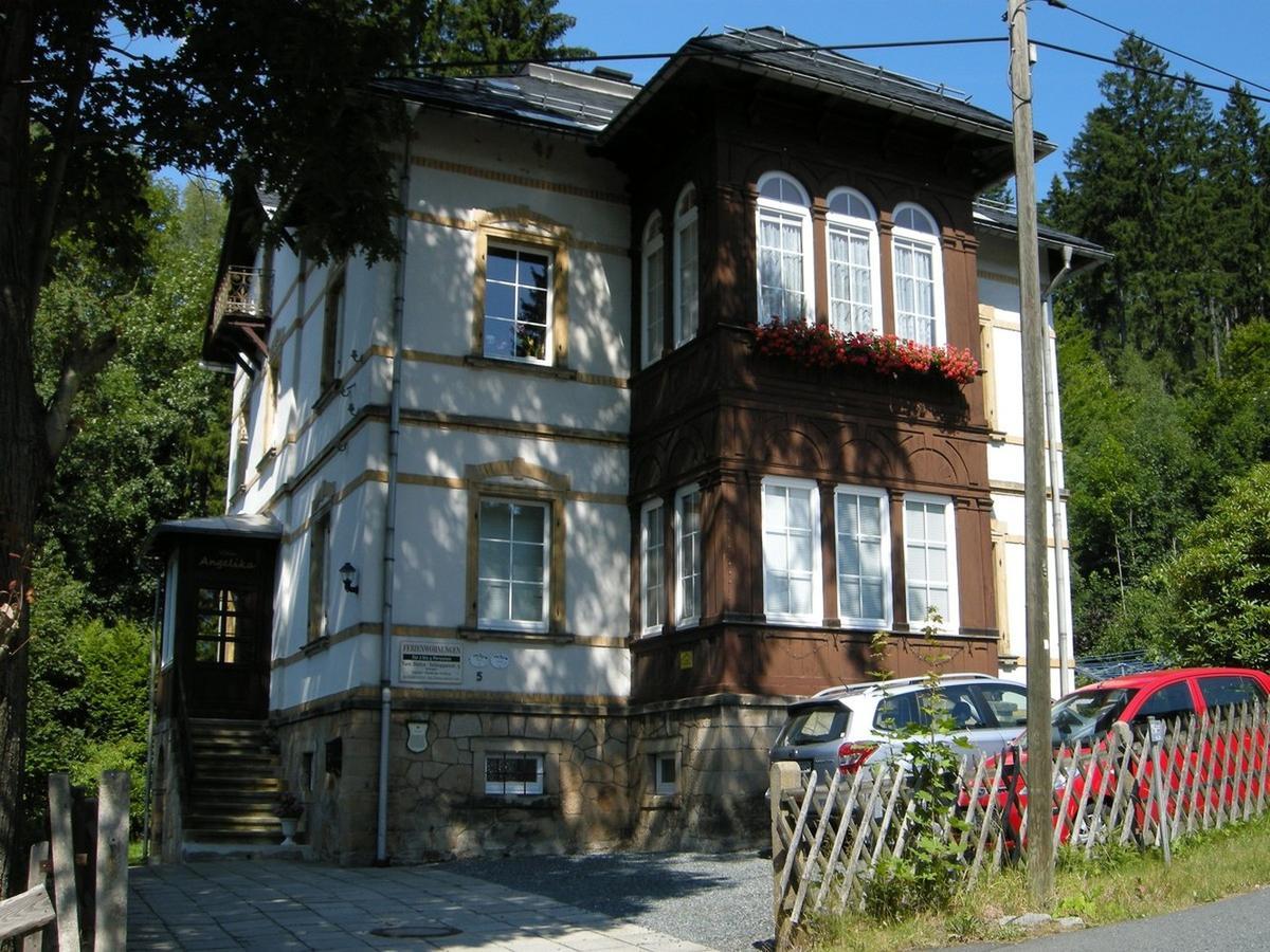 Angelika Apartment Altenberg (Erzgebirge)