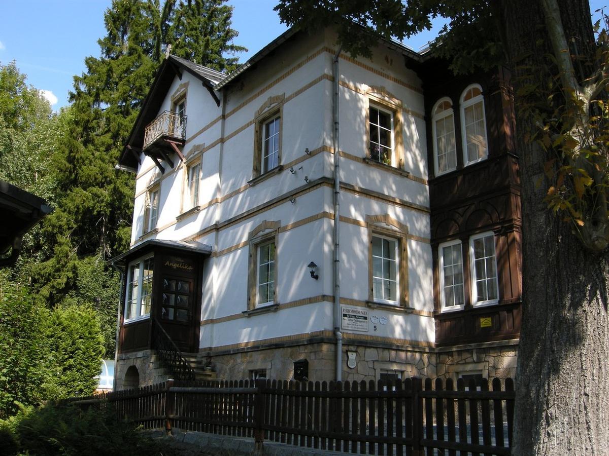 Angelika Apartment